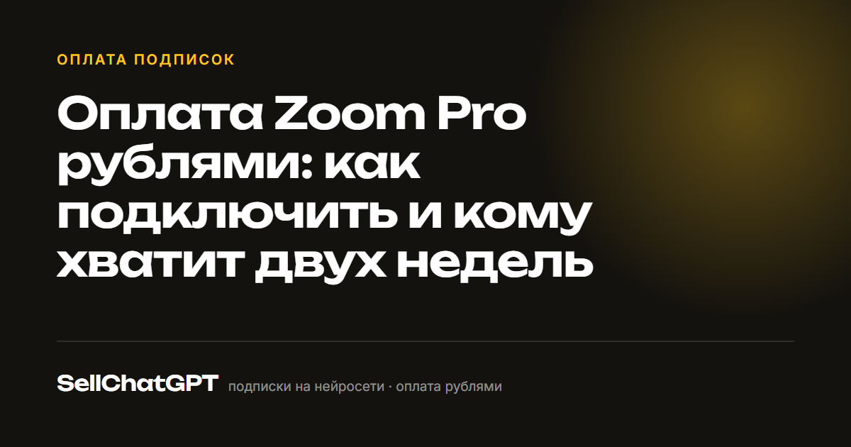 Оплата Zoom Pro рублями: как подключить и кому хватит двух недель